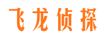 湾里侦探